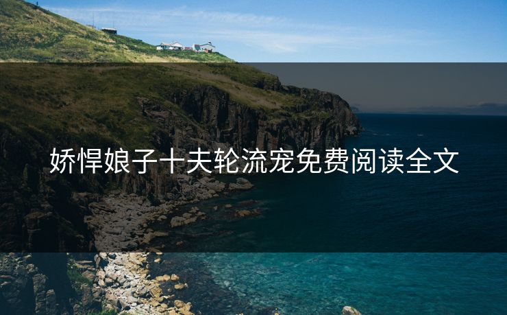 娇悍娘子十夫轮流宠免费阅读全文
