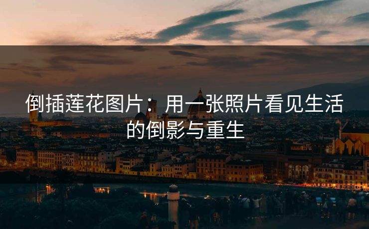倒插莲花图片:用一张照片看见生活的倒影与重生 倒插莲花图片:用一张照片看见生活的倒影与重生