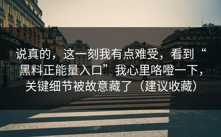 说真的，这一刻我有点难受，看到“黑料正能量入口”我心里咯噔一下，关键细节被故意藏了（建议收藏）