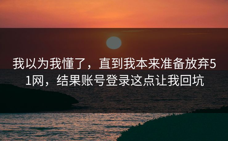 我以为我懂了,直到我本来准备放弃51网,结果账号登录这点让我回坑 我以为我懂了,直到我本来准备放弃51网,结果账号登录这点让我回坑